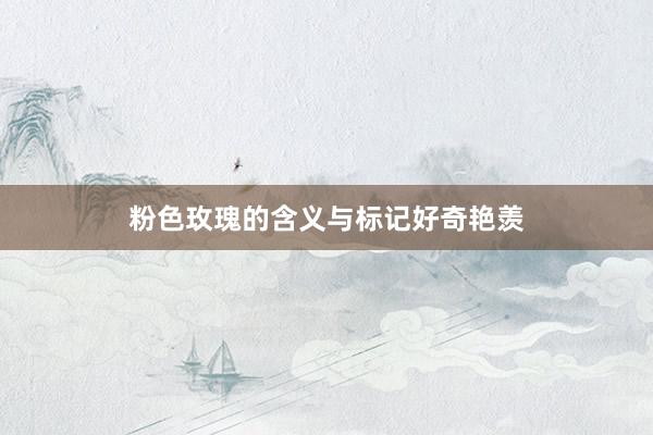 粉色玫瑰的含义与标记好奇艳羡