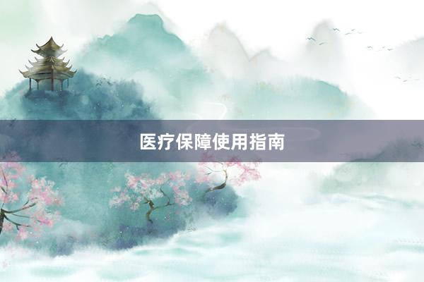 医疗保障使用指南
