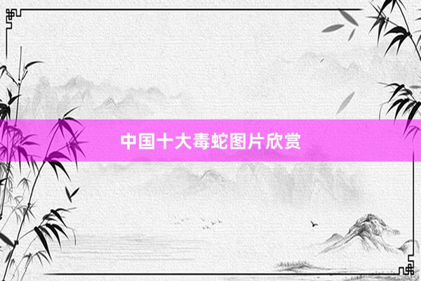 中国十大毒蛇图片欣赏