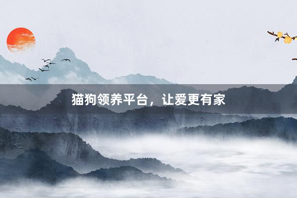 猫狗领养平台,让爱更有家